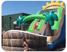 Water Slides Water Slides